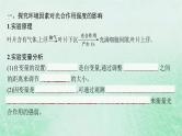 适用于新教材2024版高考生物一轮总复习第3单元细胞的代谢第14讲光合作用的影响因素及其应用课件新人教版