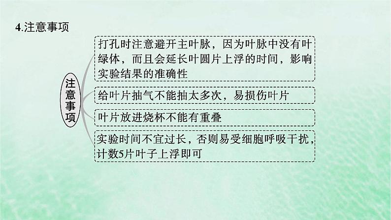 适用于新教材2024版高考生物一轮总复习第3单元细胞的代谢第14讲光合作用的影响因素及其应用课件新人教版第7页