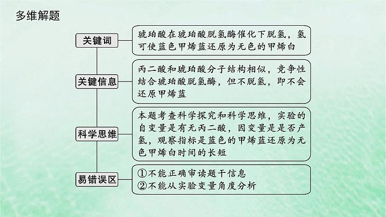 适用于新教材2024版高考生物一轮总复习第3单元细胞的代谢情境突破课2细胞呼吸过程的深入探究课件新人教版05