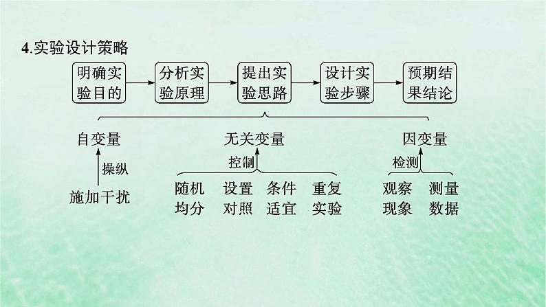 适用于新教材2024版高考生物一轮总复习第3单元细胞的代谢专题精研课1运用“变量”思维解析与酶有关的实验设计课件新人教版05