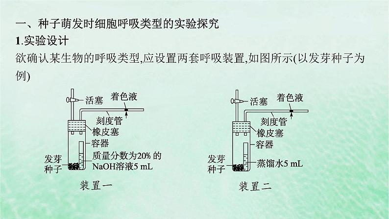 适用于新教材2024版高考生物一轮总复习第3单元细胞的代谢专题精研课2细胞呼吸的方式和呼吸速率的测定课件新人教版02