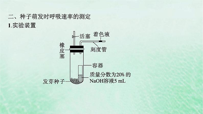 适用于新教材2024版高考生物一轮总复习第3单元细胞的代谢专题精研课2细胞呼吸的方式和呼吸速率的测定课件新人教版04