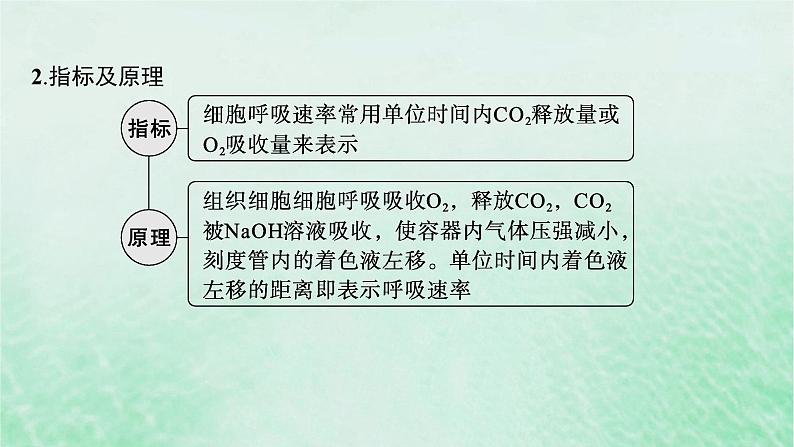 适用于新教材2024版高考生物一轮总复习第3单元细胞的代谢专题精研课2细胞呼吸的方式和呼吸速率的测定课件新人教版05