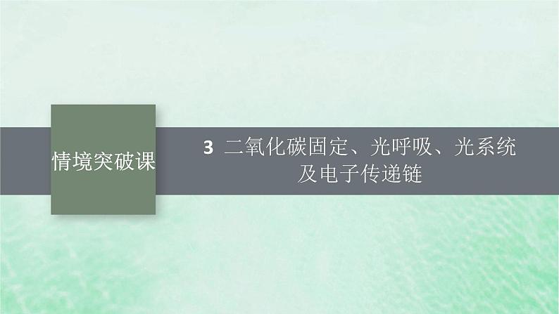 适用于新教材2024版高考生物一轮总复习第3单元细胞的代谢情境突破课3二氧化碳固定光呼吸光系统及电子传递链课件新人教版第1页