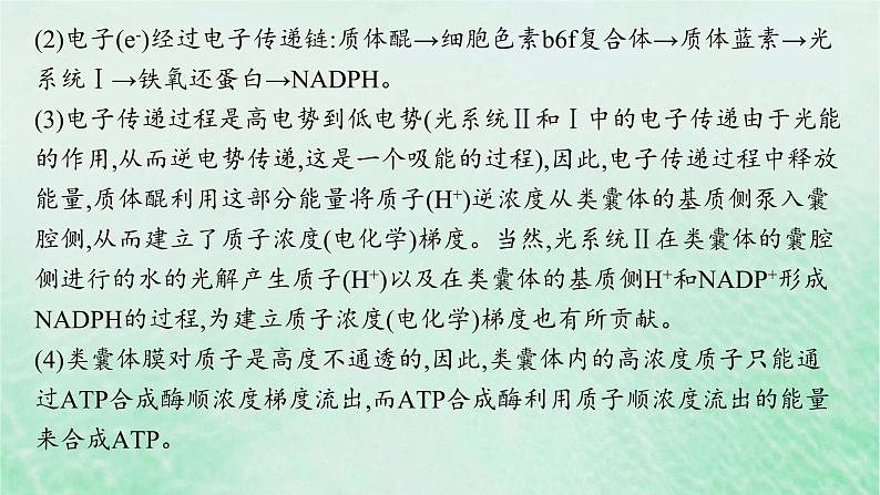 适用于新教材2024版高考生物一轮总复习第3单元细胞的代谢情境突破课3二氧化碳固定光呼吸光系统及电子传递链课件新人教版第3页