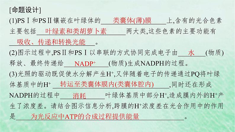 适用于新教材2024版高考生物一轮总复习第3单元细胞的代谢情境突破课3二氧化碳固定光呼吸光系统及电子传递链课件新人教版第4页