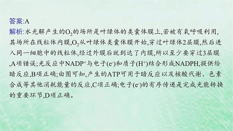 适用于新教材2024版高考生物一轮总复习第3单元细胞的代谢情境突破课3二氧化碳固定光呼吸光系统及电子传递链课件新人教版第7页