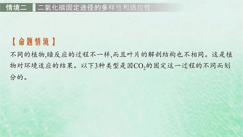 适用于新教材2024版高考生物一轮总复习第3单元细胞的代谢情境突破课3二氧化碳固定光呼吸光系统及电子传递链课件新人教版第8页