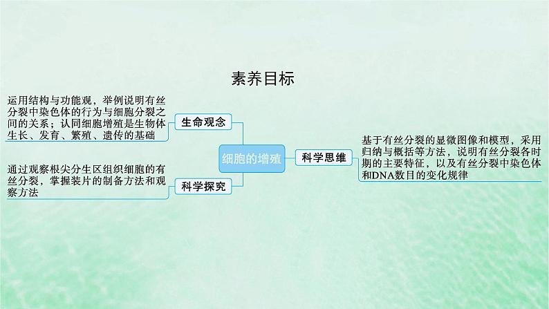 适用于新教材2024版高考生物一轮总复习第4单元细胞的生命历程第16讲细胞的增殖课件新人教版第2页