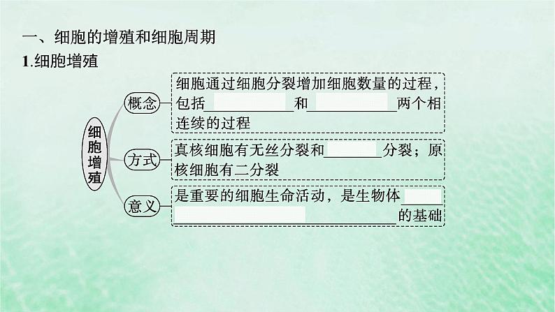 适用于新教材2024版高考生物一轮总复习第4单元细胞的生命历程第16讲细胞的增殖课件新人教版第5页