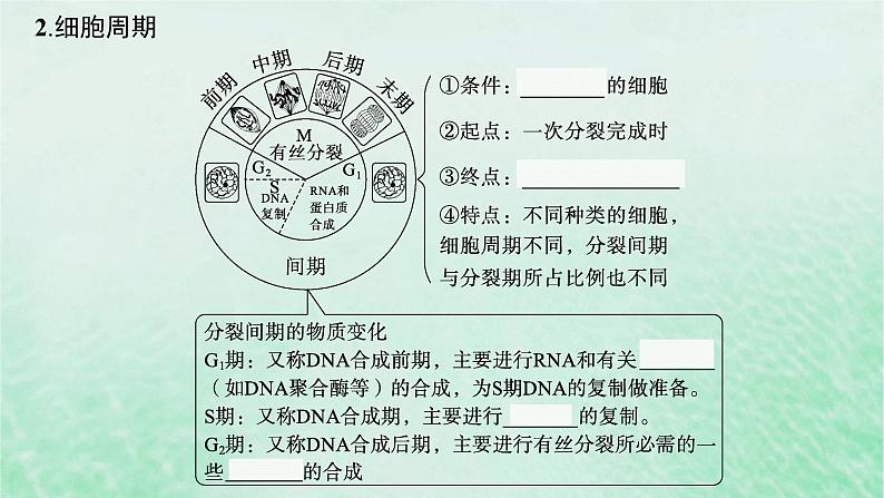 适用于新教材2024版高考生物一轮总复习第4单元细胞的生命历程第16讲细胞的增殖课件新人教版第6页