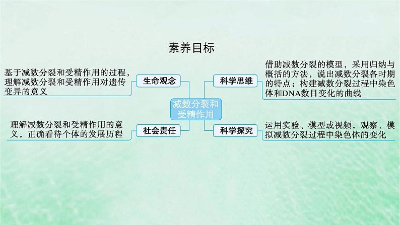 适用于新教材2024版高考生物一轮总复习第4单元细胞的生命历程第17讲减数分裂和受精作用课件新人教版第2页