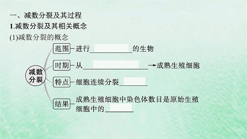 适用于新教材2024版高考生物一轮总复习第4单元细胞的生命历程第17讲减数分裂和受精作用课件新人教版第5页