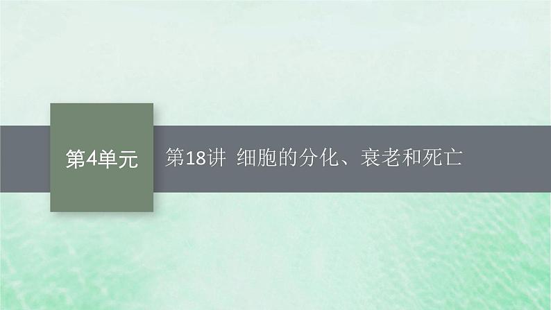 适用于新教材2024版高考生物一轮总复习第4单元细胞的生命历程第18讲细胞的分化衰老和死亡课件新人教版第1页