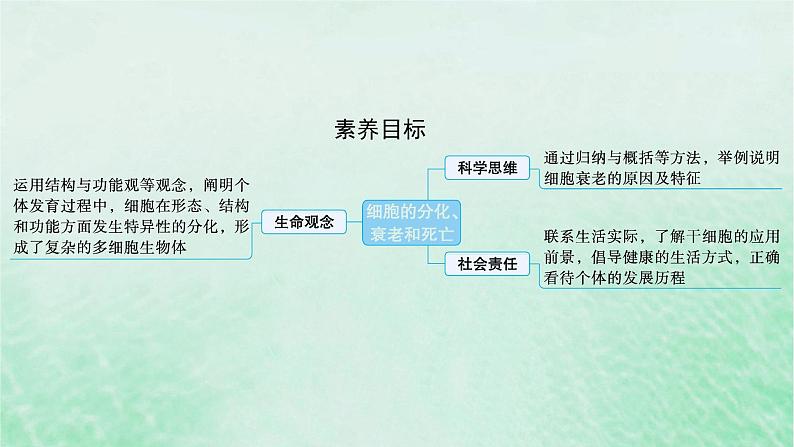 适用于新教材2024版高考生物一轮总复习第4单元细胞的生命历程第18讲细胞的分化衰老和死亡课件新人教版第2页