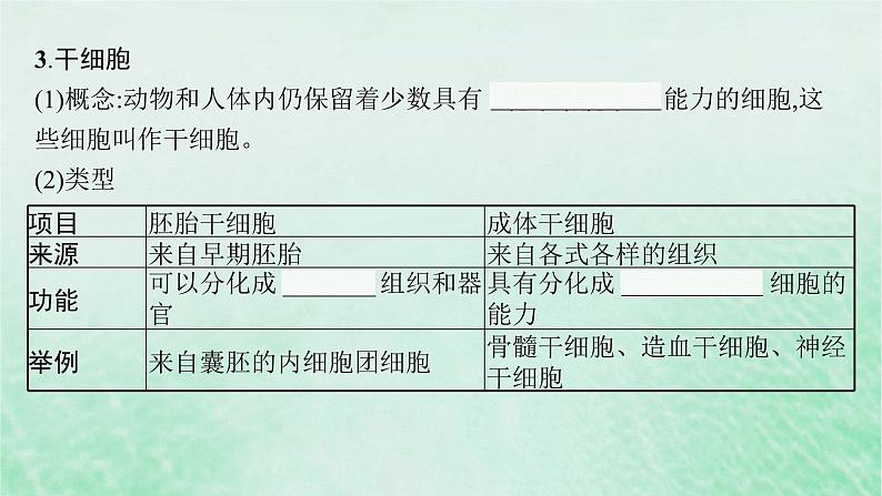 适用于新教材2024版高考生物一轮总复习第4单元细胞的生命历程第18讲细胞的分化衰老和死亡课件新人教版第7页