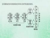 适用于新教材2024版高考生物一轮总复习第4单元细胞的生命历程专题精研课3减数分裂与可遗传变异的关系课件新人教版