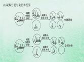 适用于新教材2024版高考生物一轮总复习第4单元细胞的生命历程专题精研课3减数分裂与可遗传变异的关系课件新人教版