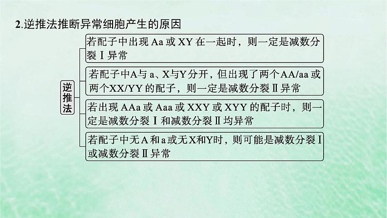 适用于新教材2024版高考生物一轮总复习第4单元细胞的生命历程专题精研课3减数分裂与可遗传变异的关系课件新人教版07