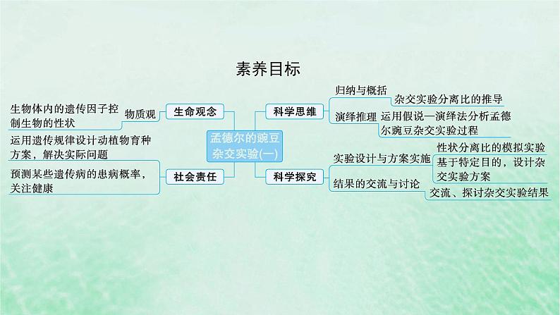 适用于新教材2024版高考生物一轮总复习第5单元孟德尔遗传定律与伴性遗传第19讲孟德尔的豌豆杂交实验一课件新人教版第2页