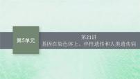 适用于新教材2024版高考生物一轮总复习第5单元孟德尔遗传定律与伴性遗传第21讲基因在染色体上伴性遗传和人类遗传参件新人教版课件PPT