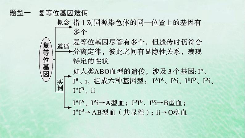 适用于新教材2024版高考生物一轮总复习第5单元孟德尔遗传定律与伴性遗传专题精研课4分离定律遗传特例的应用课件新人教版02