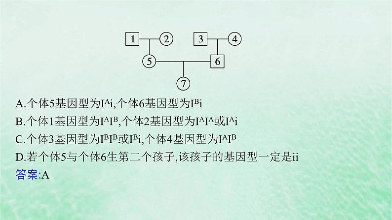 适用于新教材2024版高考生物一轮总复习第5单元孟德尔遗传定律与伴性遗传专题精研课4分离定律遗传特例的应用课件新人教版04