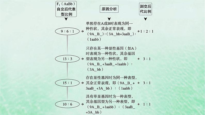 适用于新教材2024版高考生物一轮总复习第5单元孟德尔遗传定律与伴性遗传专题精研课5自由组合定律中的特殊比例课件新人教版03