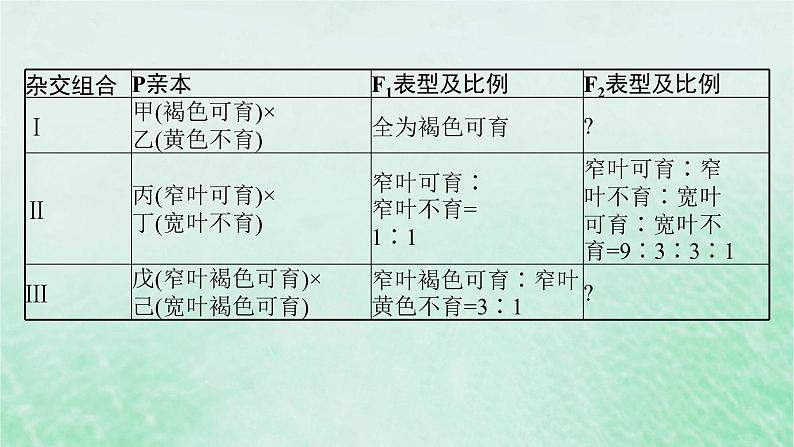 适用于新教材2024版高考生物一轮总复习第5单元孟德尔遗传定律与伴性遗传专题精研课6探究不同对等位基因在常染色体上的位置课件新人教版07