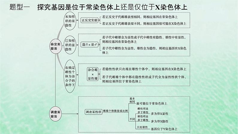 适用于新教材2024版高考生物一轮总复习第5单元孟德尔遗传定律与伴性遗传专题精研课7探究基因在染色体上的位置课件新人教版第2页