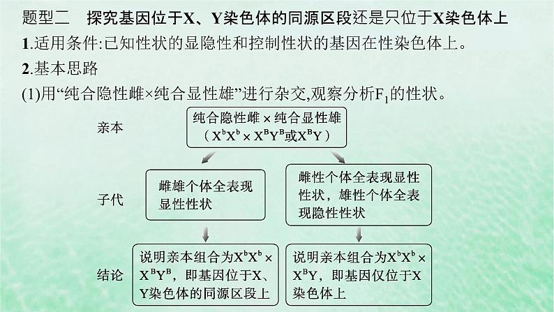 适用于新教材2024版高考生物一轮总复习第5单元孟德尔遗传定律与伴性遗传专题精研课7探究基因在染色体上的位置课件新人教版第6页