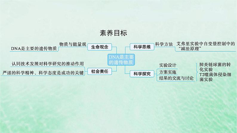 适用于新教材2024版高考生物一轮总复习第6单元遗传的分子基础第22讲DNA是主要的遗传物质课件新人教版02