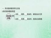 适用于新教材2024版高考生物一轮总复习第6单元遗传的分子基础第22讲DNA是主要的遗传物质课件新人教版