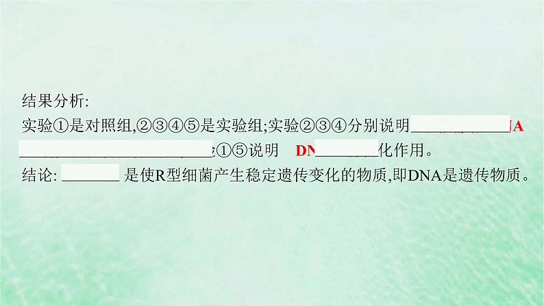 适用于新教材2024版高考生物一轮总复习第6单元遗传的分子基础第22讲DNA是主要的遗传物质课件新人教版08