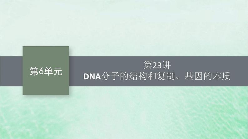 适用于新教材2024版高考生物一轮总复习第6单元遗传的分子基础第23讲DNA分子的结构和复制基因的本质课件新人教版01