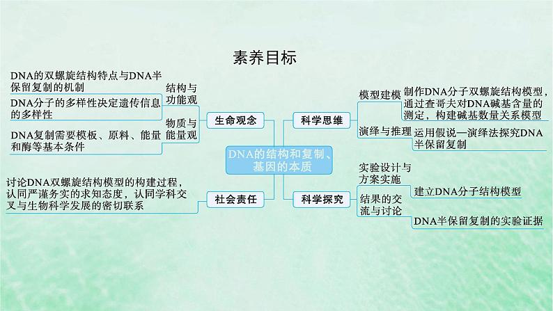 适用于新教材2024版高考生物一轮总复习第6单元遗传的分子基础第23讲DNA分子的结构和复制基因的本质课件新人教版02