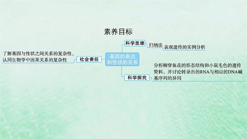 适用于新教材2024版高考生物一轮总复习第6单元遗传的分子基础第25讲基因表达和性状的关系课件新人教版02