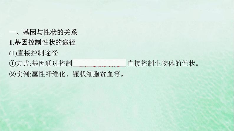 适用于新教材2024版高考生物一轮总复习第6单元遗传的分子基础第25讲基因表达和性状的关系课件新人教版05