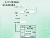适用于新教材2024版高考生物一轮总复习第6单元遗传的分子基础第24讲基因的表达课件新人教版