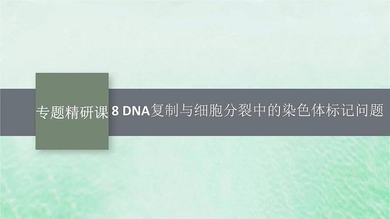 适用于新教材2024版高考生物一轮总复习第6单元遗传的分子基础专题精研课8DNA复制与细胞分裂中的染色体标记问题课件新人教版第1页