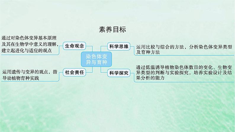 适用于新教材2024版高考生物一轮总复习第7单元生物的变异与进化第27讲染色体变异与育种课件新人教版第2页