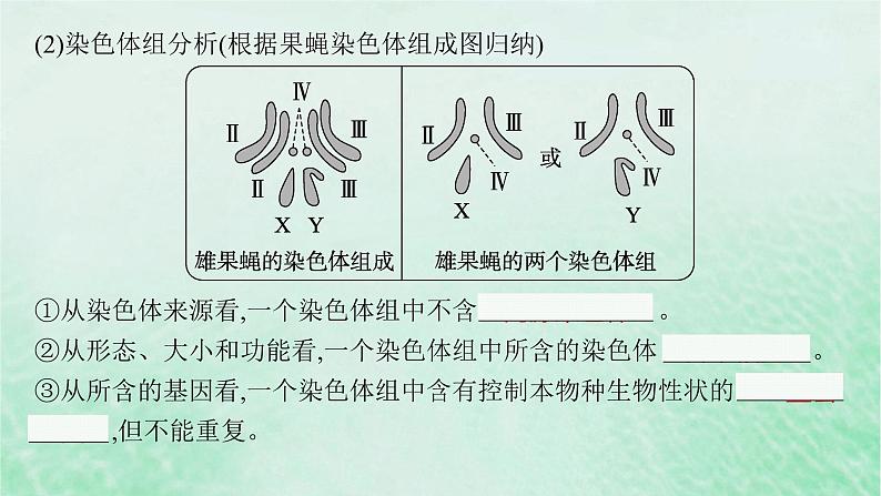 适用于新教材2024版高考生物一轮总复习第7单元生物的变异与进化第27讲染色体变异与育种课件新人教版第6页