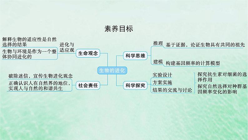 适用于新教材2024版高考生物一轮总复习第7单元生物的变异与进化第28讲生物的进化课件新人教版第2页