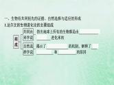 适用于新教材2024版高考生物一轮总复习第7单元生物的变异与进化第28讲生物的进化课件新人教版