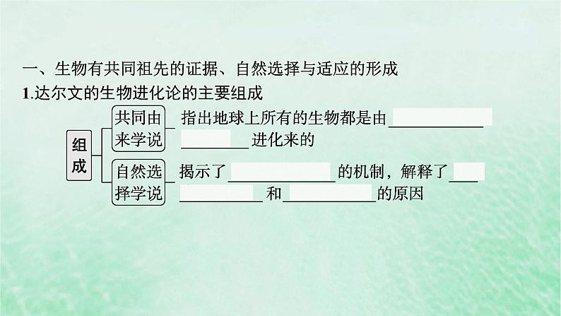 适用于新教材2024版高考生物一轮总复习第7单元生物的变异与进化第28讲生物的进化课件新人教版第5页