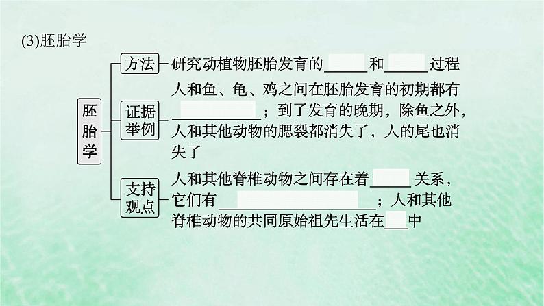 适用于新教材2024版高考生物一轮总复习第7单元生物的变异与进化第28讲生物的进化课件新人教版第7页