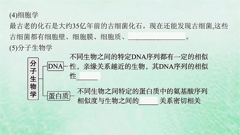 适用于新教材2024版高考生物一轮总复习第7单元生物的变异与进化第28讲生物的进化课件新人教版第8页