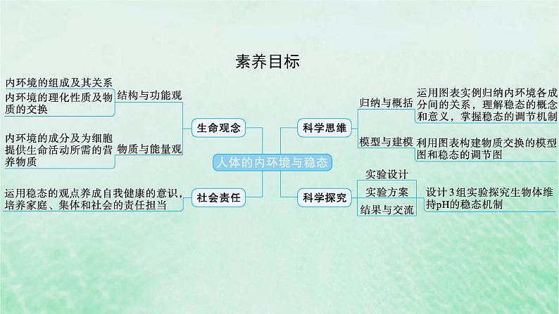 适用于新教材2024版高考生物一轮总复习第8单元稳态与调节第29讲人体的内环境与稳态课件新人教版02