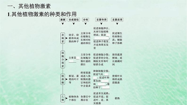 适用于新教材2024版高考生物一轮总复习第8单元稳态与调节第37讲其他植物激素及调节植物生长调节剂的应用课件新人教版第5页