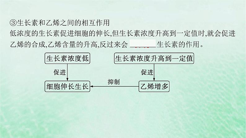 适用于新教材2024版高考生物一轮总复习第8单元稳态与调节第37讲其他植物激素及调节植物生长调节剂的应用课件新人教版第8页